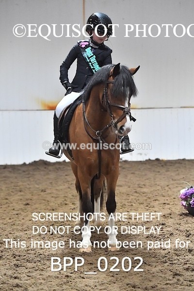 BPP_0202 - CLASS 3 40CM