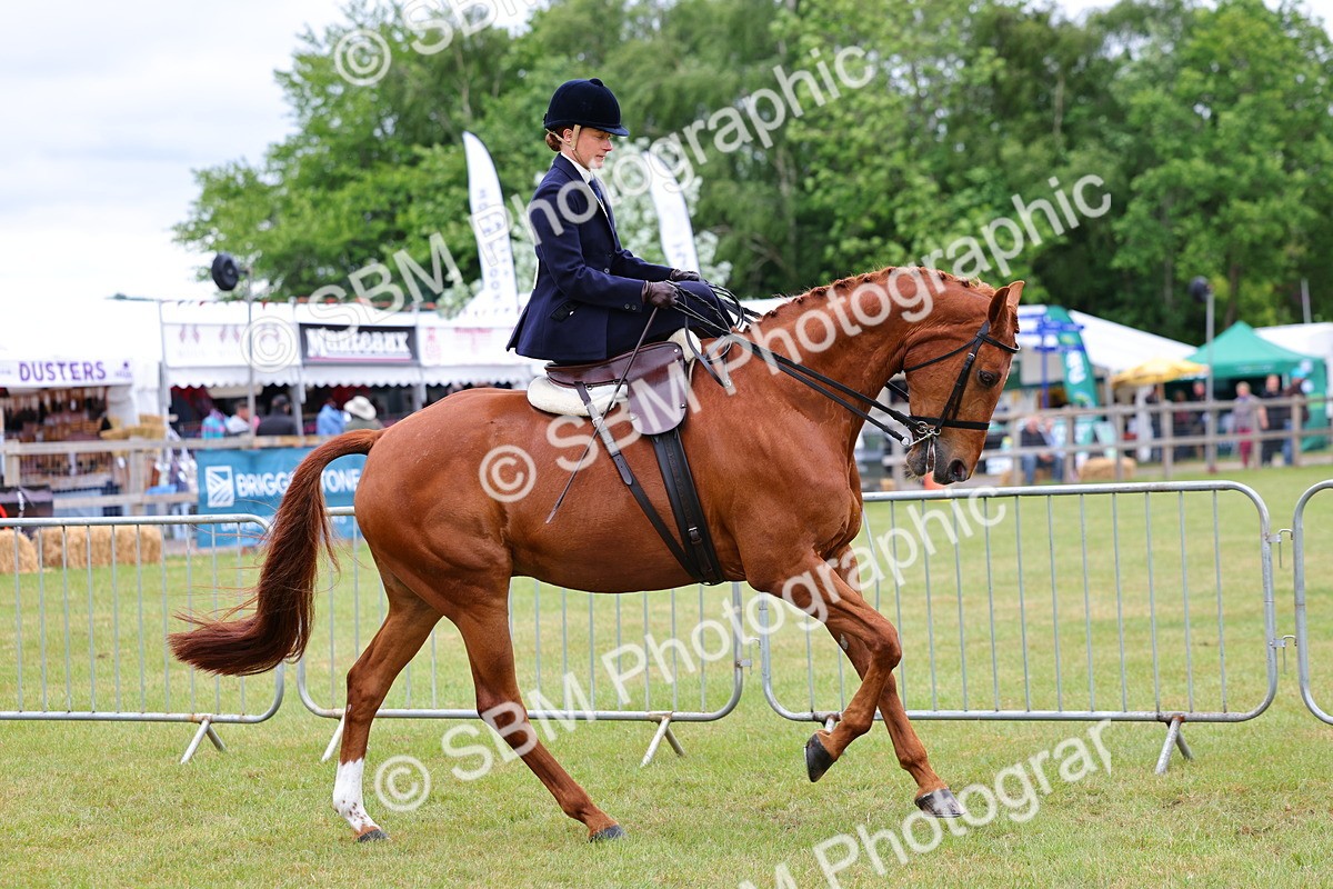 SBM_02877 - Class 9-11 Side Saddle including LIHS Rising Star Ladies Show Horse