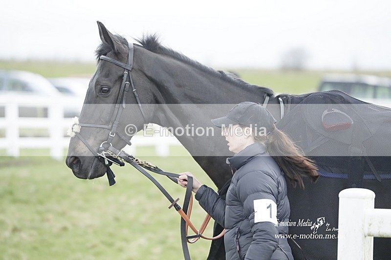 PtP 260323 0763 - New Forest Hounds Point-to-Point Larkhill 26/03/23