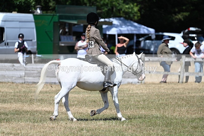 WJ7_3656 - Class 8 Ridden Veterans