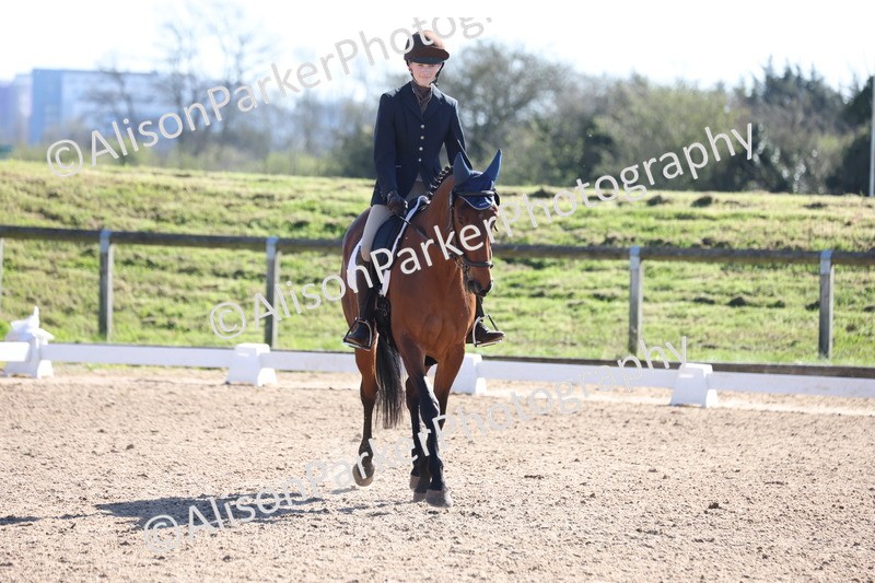 20260318-0503 - Class 5 - Novice 2