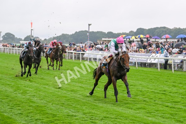 080924-Race 1-Windlord-8806 - Race 1 1.40pm British European Breeders Fund Novice Stakes