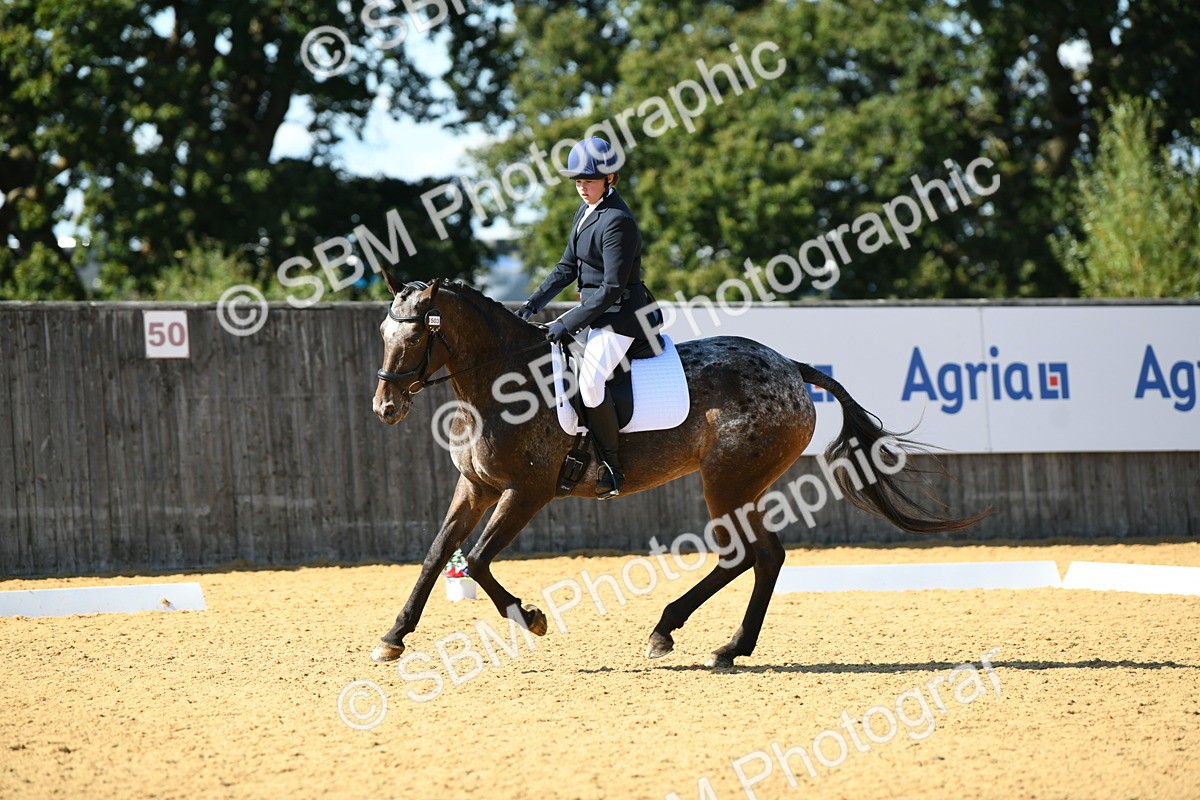 SBM_24818 - D13 - Grand Tour Championship - Prelim 12