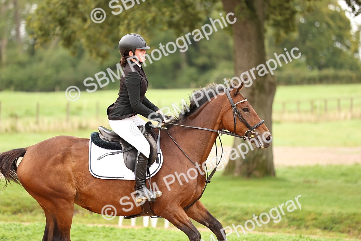 SBM_58308 - J41 - Grand Tour Horse & Pony 95cm