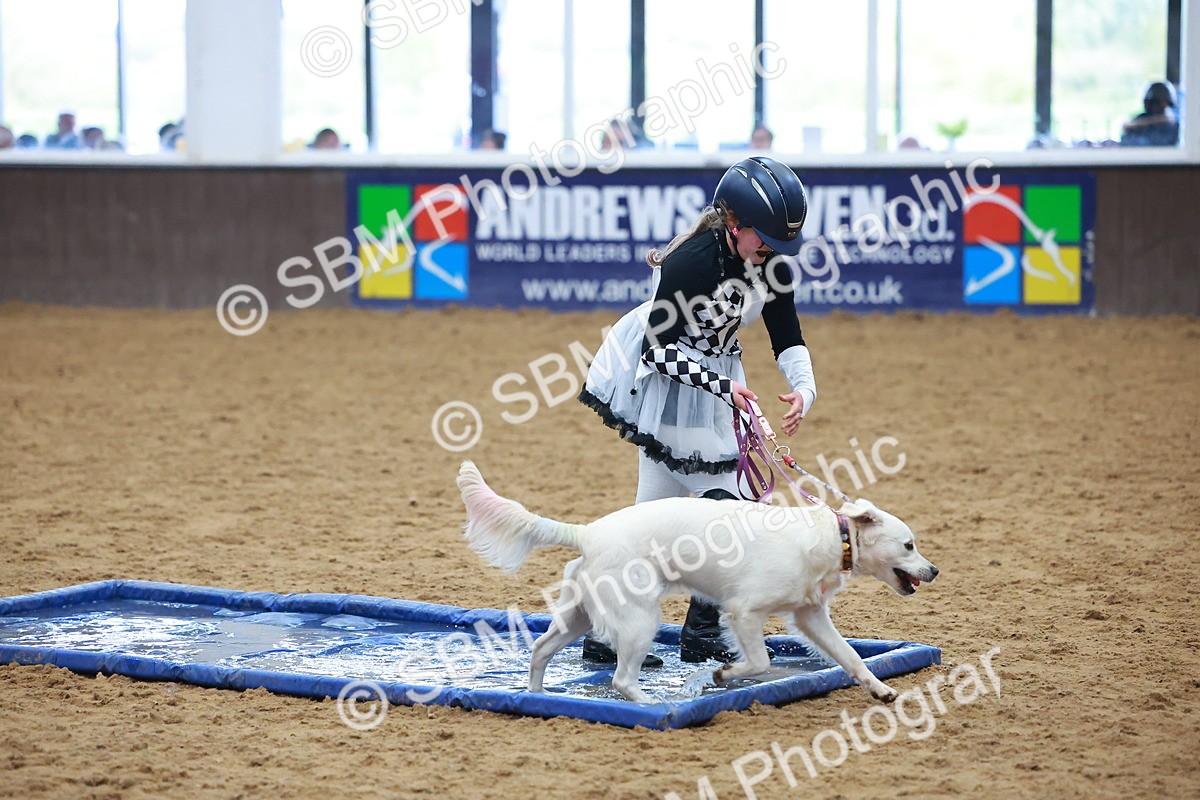 SBM_001678 - Class 3 - Horse & Hound (60cm)