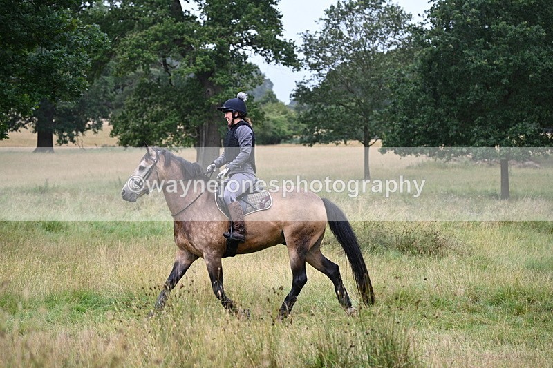 WJ7_6889 - Time at Water 10:01 to 10:27