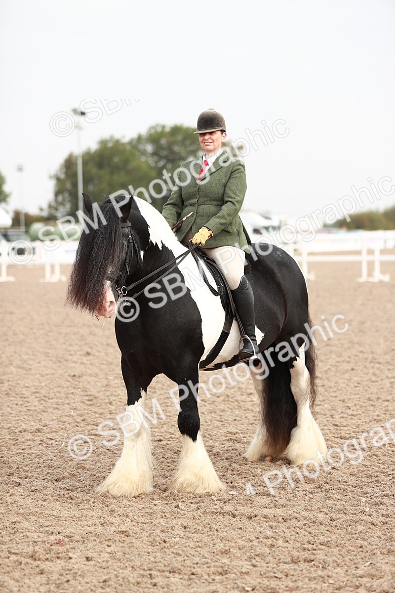 SBM_09418 - Class 202 Best Turned Out Ridden