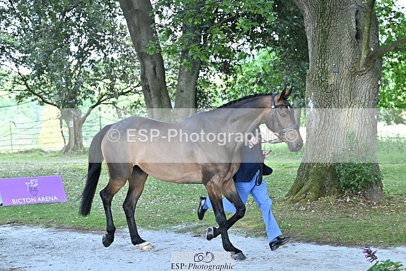 250521A-160808-00931 - C-205-Harry.Meade-IF.IN.DOUBT