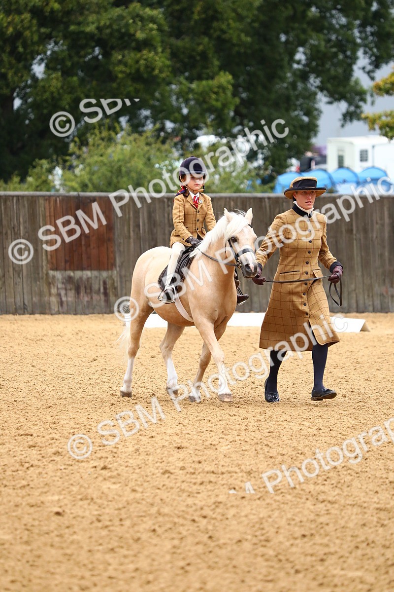 SBM_34551 - D26 - Starters Lead Rein