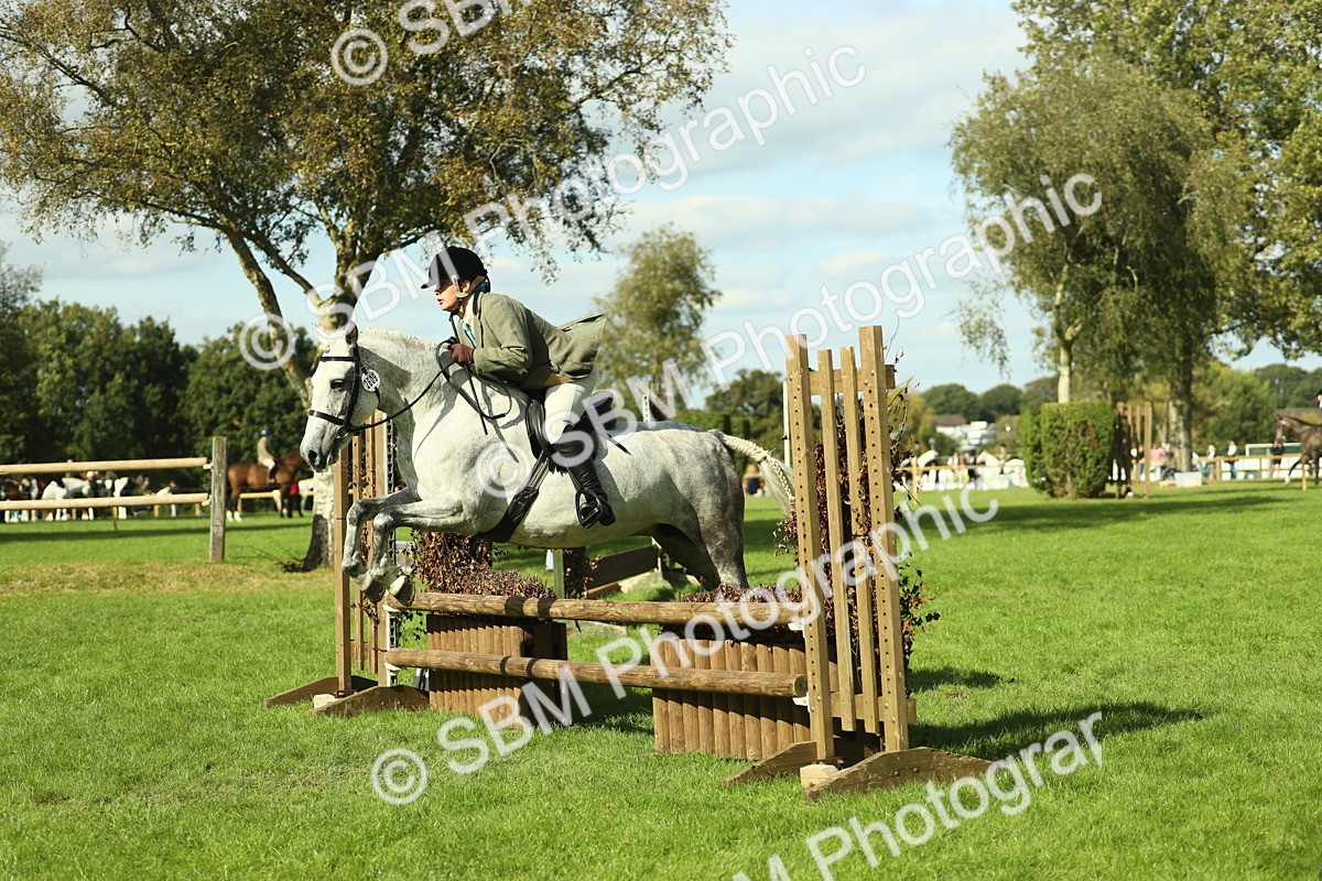 SBM_48076 - S32 - Novice & Newcomers Working Hunter