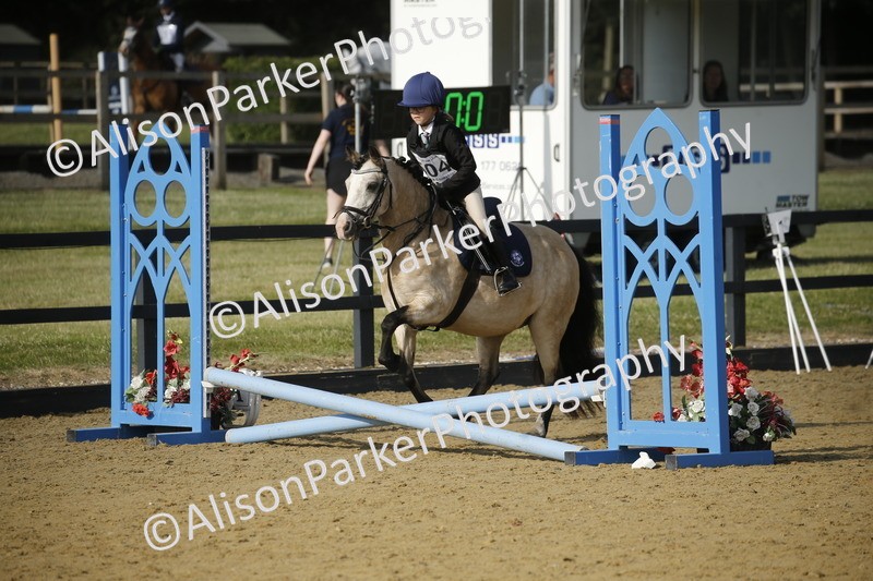 20250622-1158 - 40cm