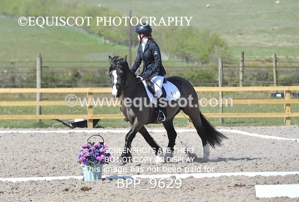 BPP_9629 - MY QUEST PRELIM 1