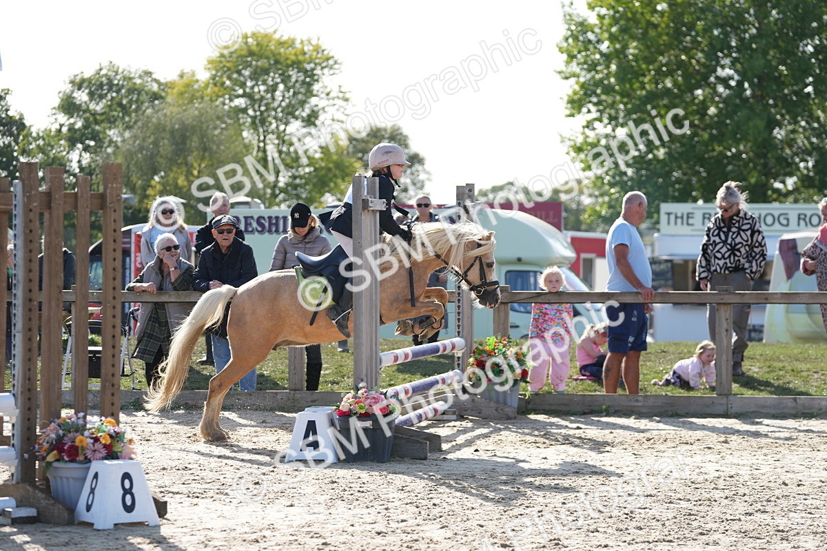 SBM_49278 - J8 - Junior Pony 65cm Championship
