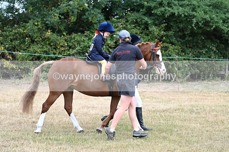 WJ7_9662 - Class 1 Lead Rein Pony