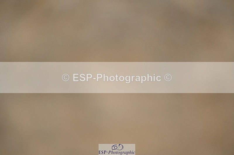 230813-095210-05985 - Cls 12 Elem Silver Start to 10.10 break