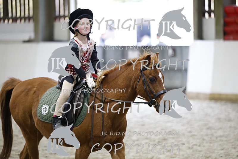 _T0A1211 - Class 2 40cm