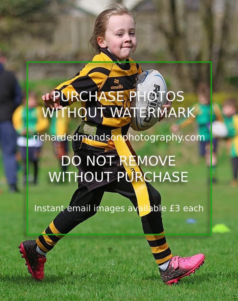 533A5098 - Kendal Rugby Under 7's (12/4/26)