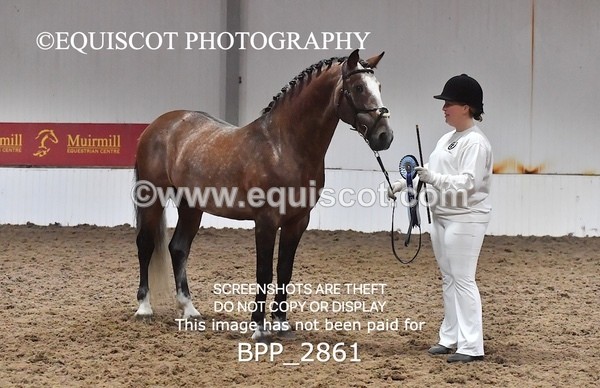 BPP_2861 - LOOSE JUMPING / SPSS