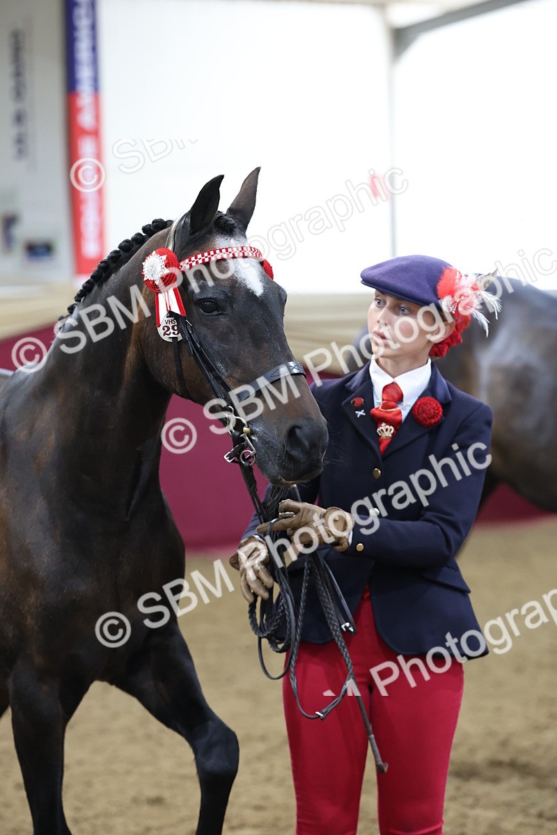 SBM_21842 - Class 901 - Supreme Final - IH  Diamond