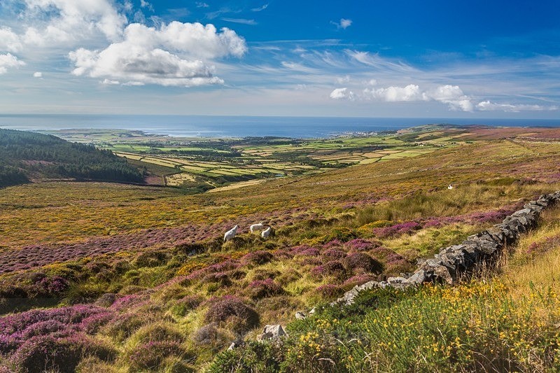 AW7C9458 - Land of Man