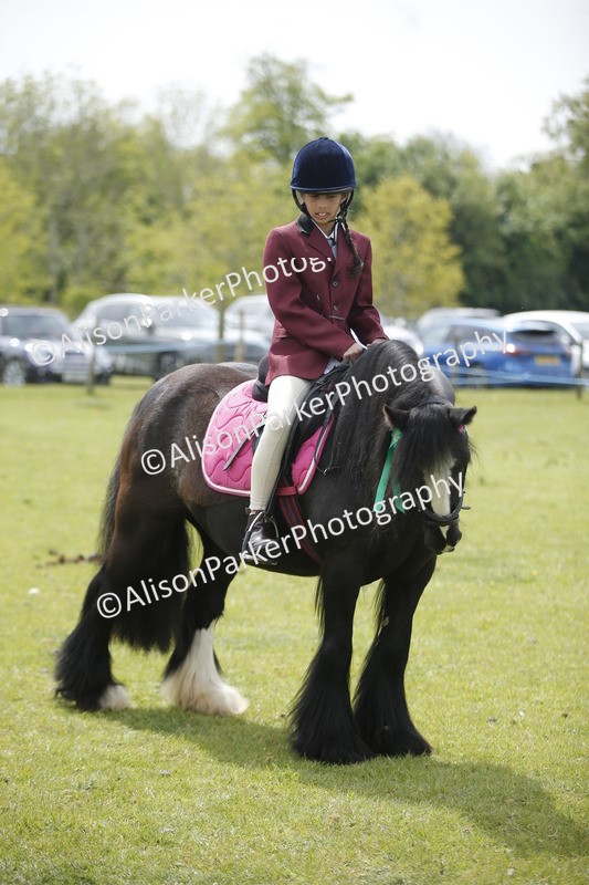 20260426-3469 - Class 11 - Best Mane and Tail