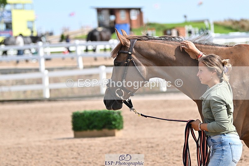 240717A-160709-03321 - Trot Up 4pm to 5pm