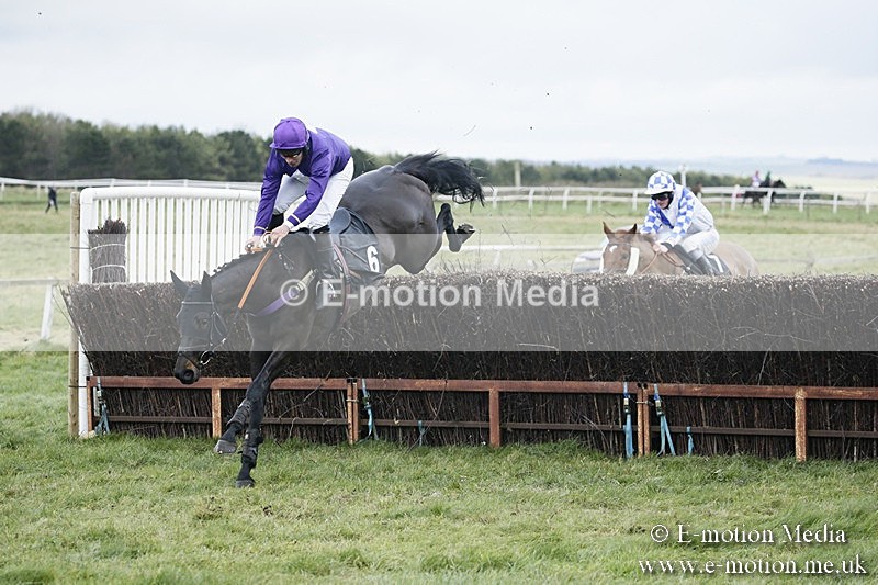 PtP 031217 496 - Hursley Hambledon Point-to-Point Larkhill 03/12/17