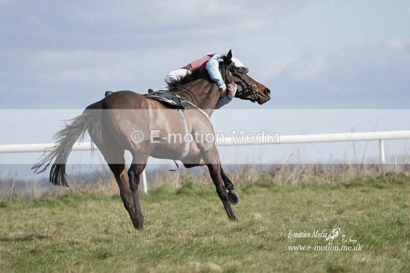 PtP 260223 507 - South & West Wilts Point-to-Point Larkhill 26/02/23