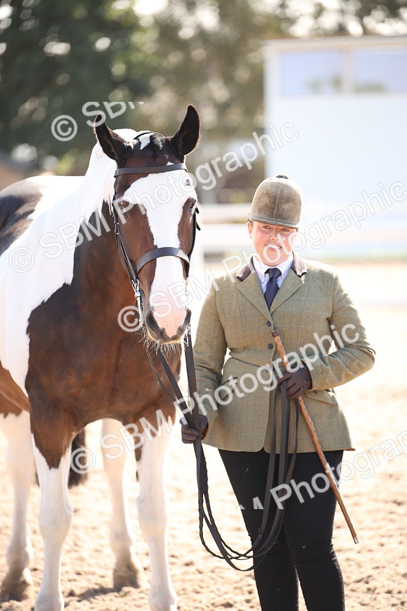 SBM_01545 - Class 15 IH Coloured