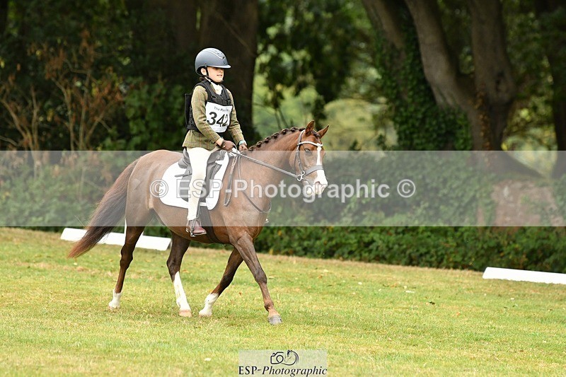 250820A-112823-05082 - 11am to 12