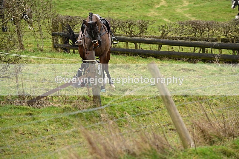 WJ6_7708 - Cam B