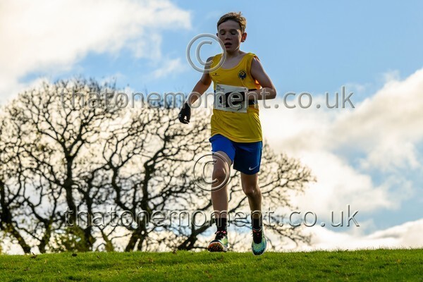 NatRel25-914364 - Young Male Set One