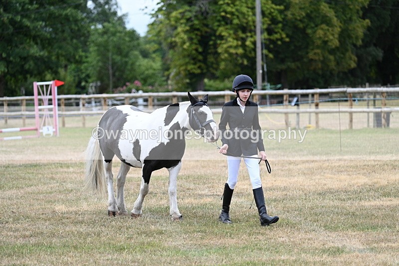 WJ7_1469 - Class 4 Prettiest Mare up to 14.2hh in hand