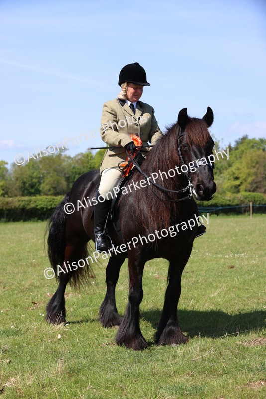 20250427-2521 - Class 19 - Mini Working Hunter