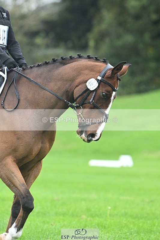 241024-093207-02781 - 401-Sophie.Parker-BIG.BOY.II