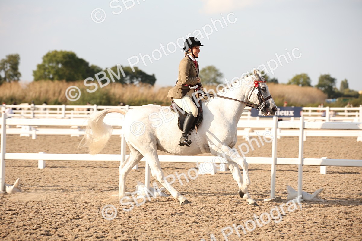 SBM_08892 - Class 12R Regional Ridden Pre-Vet