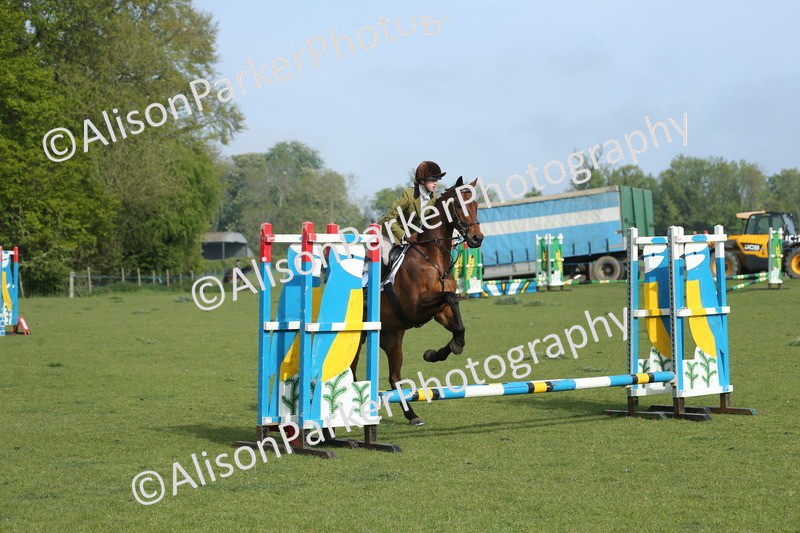 20260426-0077 - Class 13 - Rookie Jumping 50cm