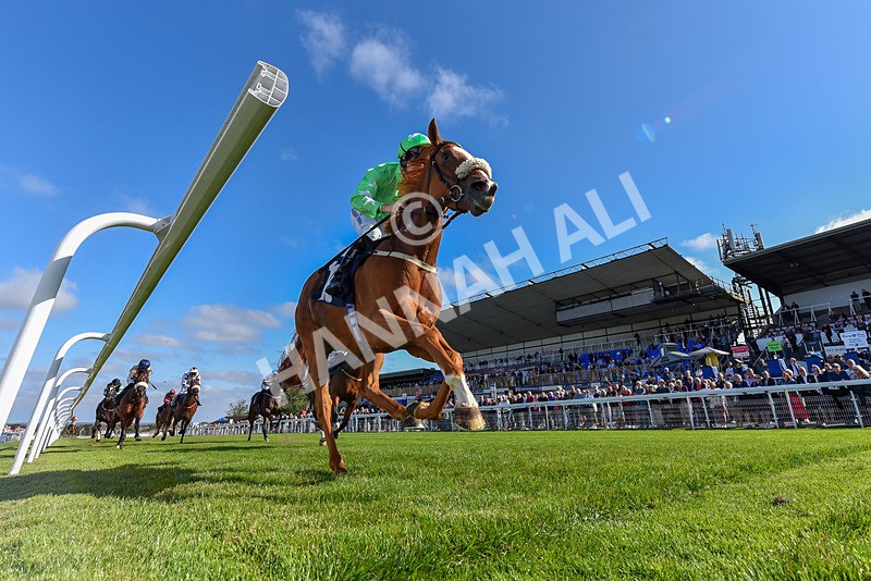 180924-Race 3-Beaujolais Nouveau-7315 - Race 3