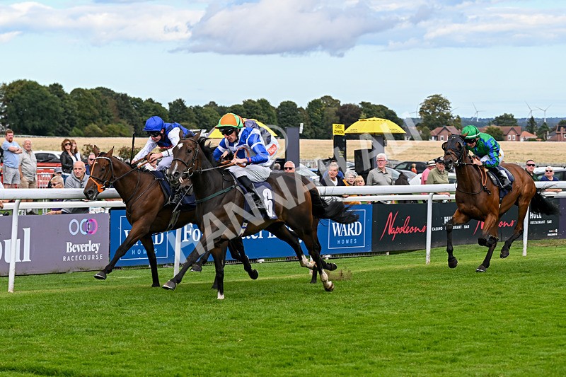 160926-Race 2-Northern Viola-9719 - Race 2 2.43pm Young Guns Nursery Handicap