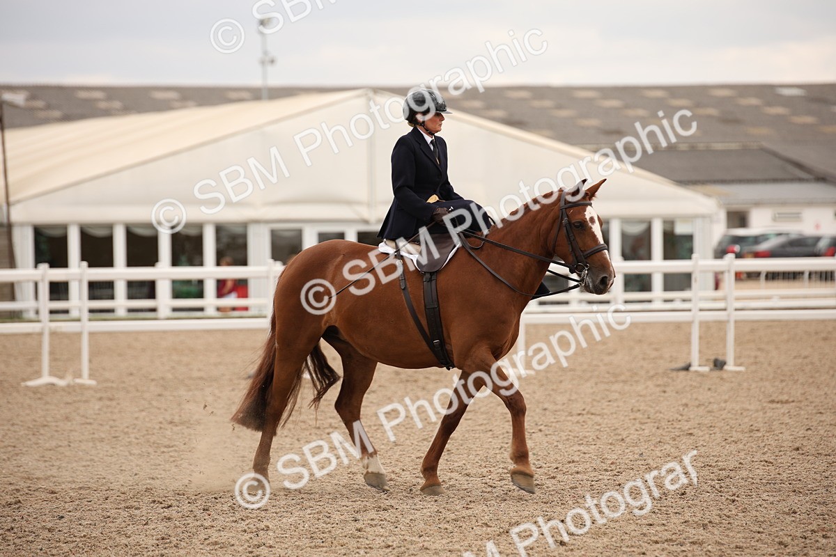 SBM_05473 - Class 22 SSA Equitation