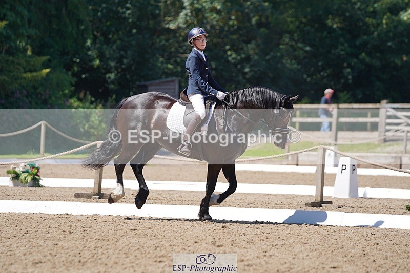 240719-113110-01155 - 282-Edward_Collis-Eglwysfach_Blodwen