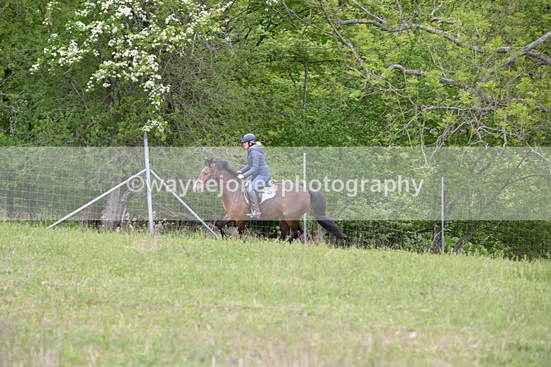 WJ6_1924 - Group 8 A&B Cameras