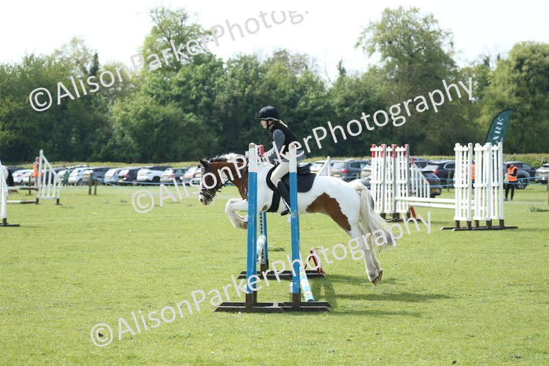 20260426-1551 - Class 14 - Novice 60cm