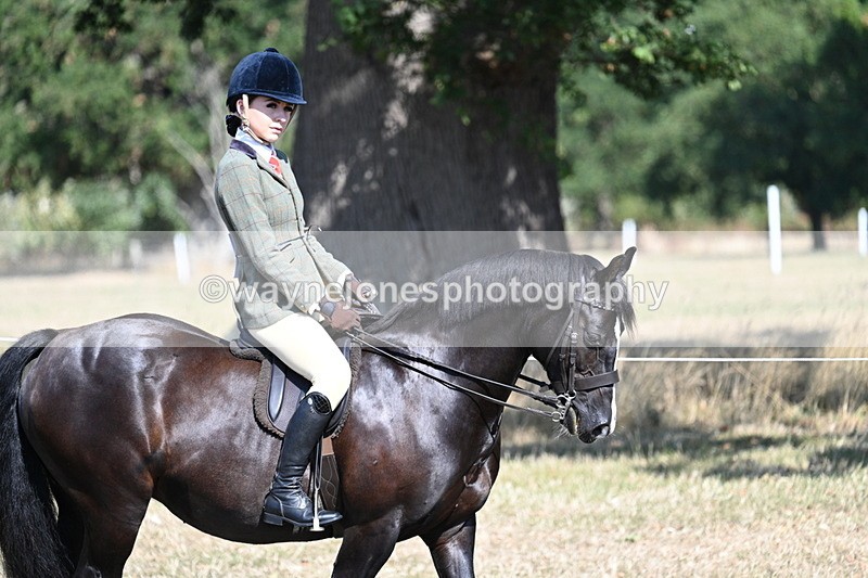 WJ7_3453 - Class 9 Mountain & Moorland Ridden