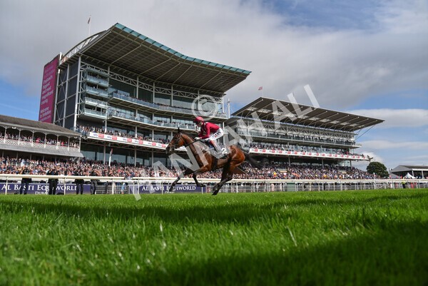 yr18082021r4-120 - Race 4 3.35pm Juddmonte International Stakes (British Champion Series race)