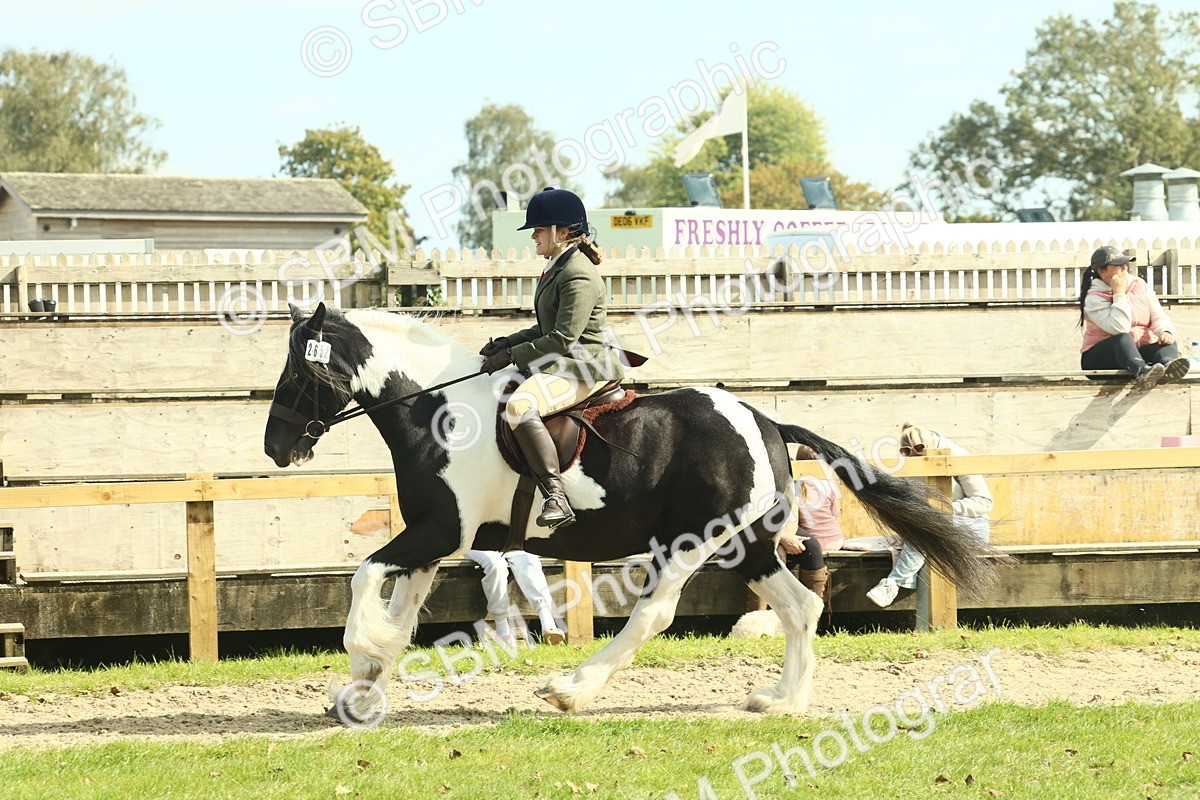 SBM_68817 - S58 - Mini Show Cob Ridden