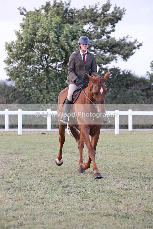 JPP_3685 - Class 24: Open Working Hunter