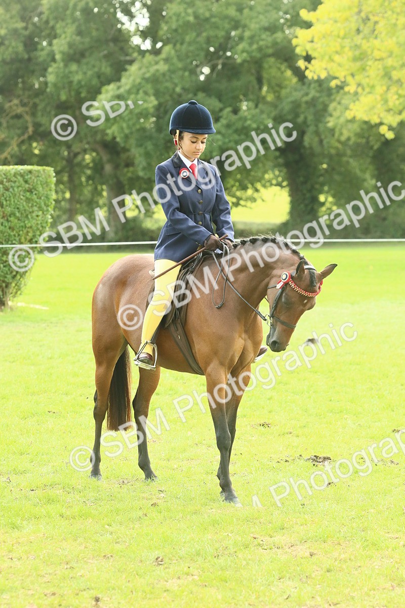 SBM_68078 - S57 - Part Bred Pony Ridden