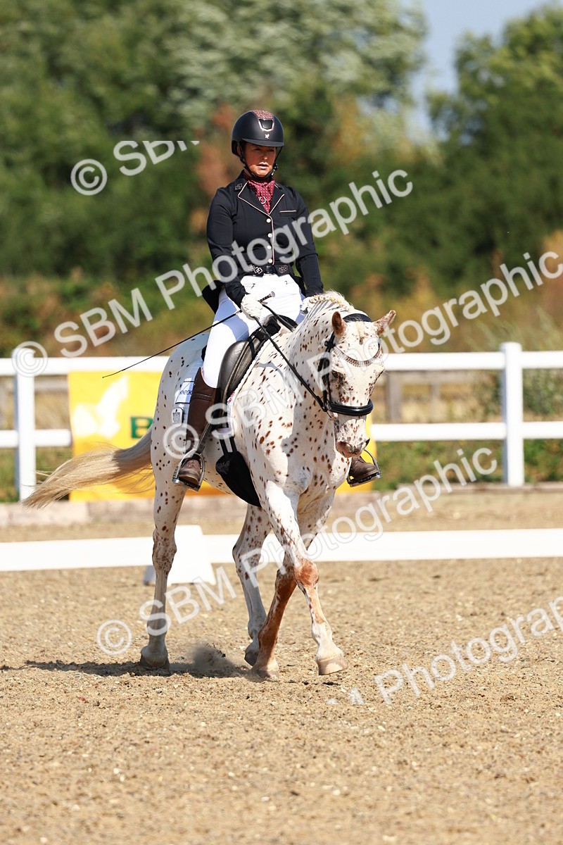 SBM_009634