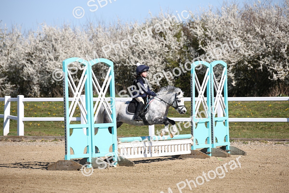 SBM_000729 - Class 2 - 50cm